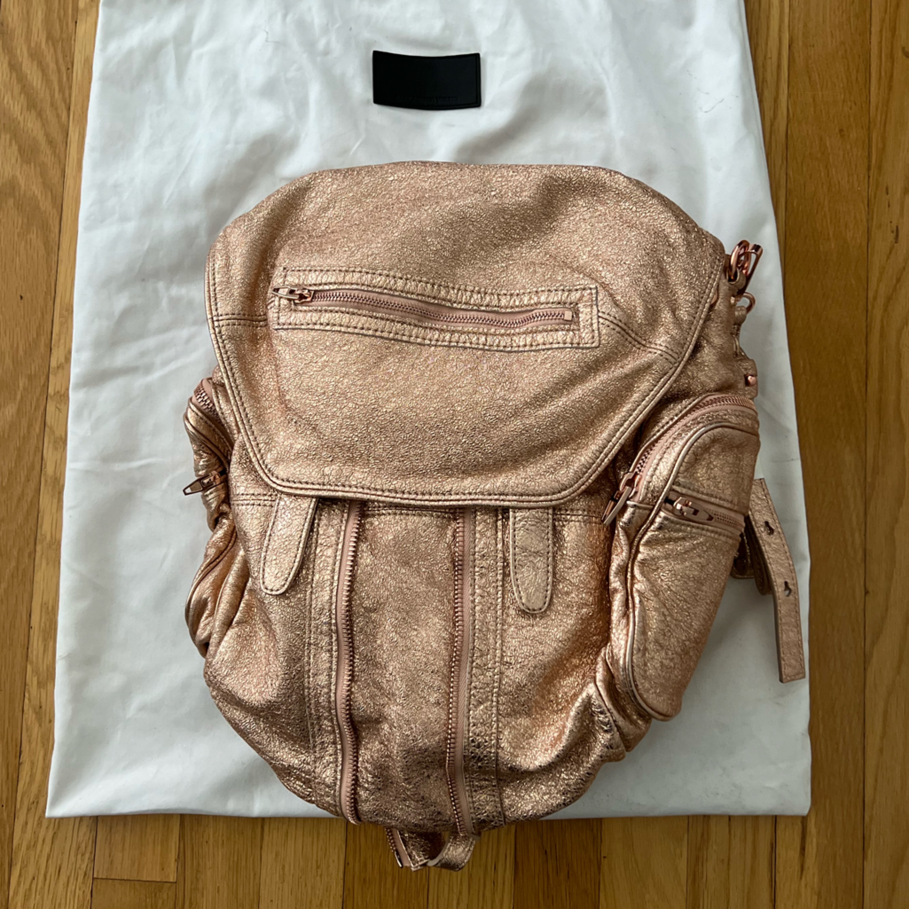 Authentic Alexander Wang Marti Backpack